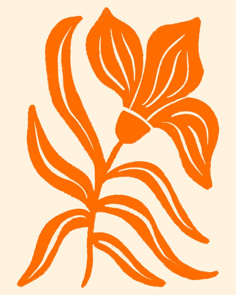 Orange Botanical Bloom