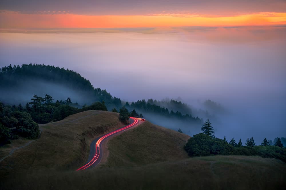 Into the Fog by Sophia Li — canvas wall art