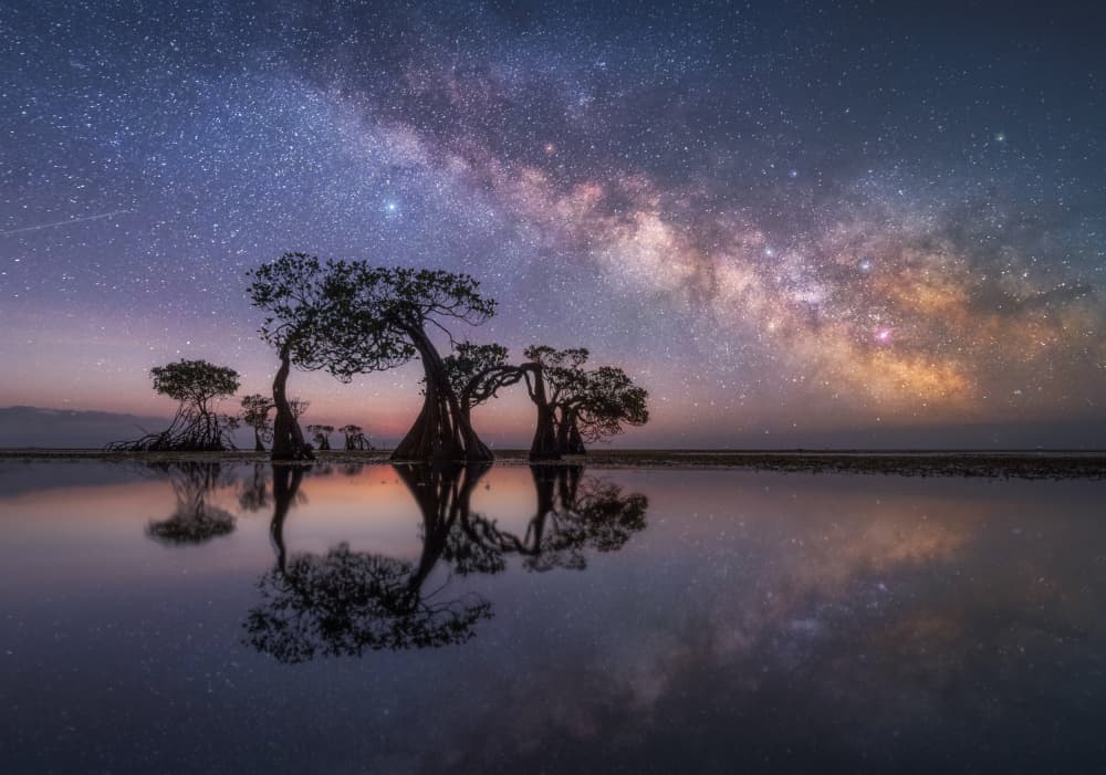 Celestial Mangrove Reflections by NingYun Ye — canvas wall art