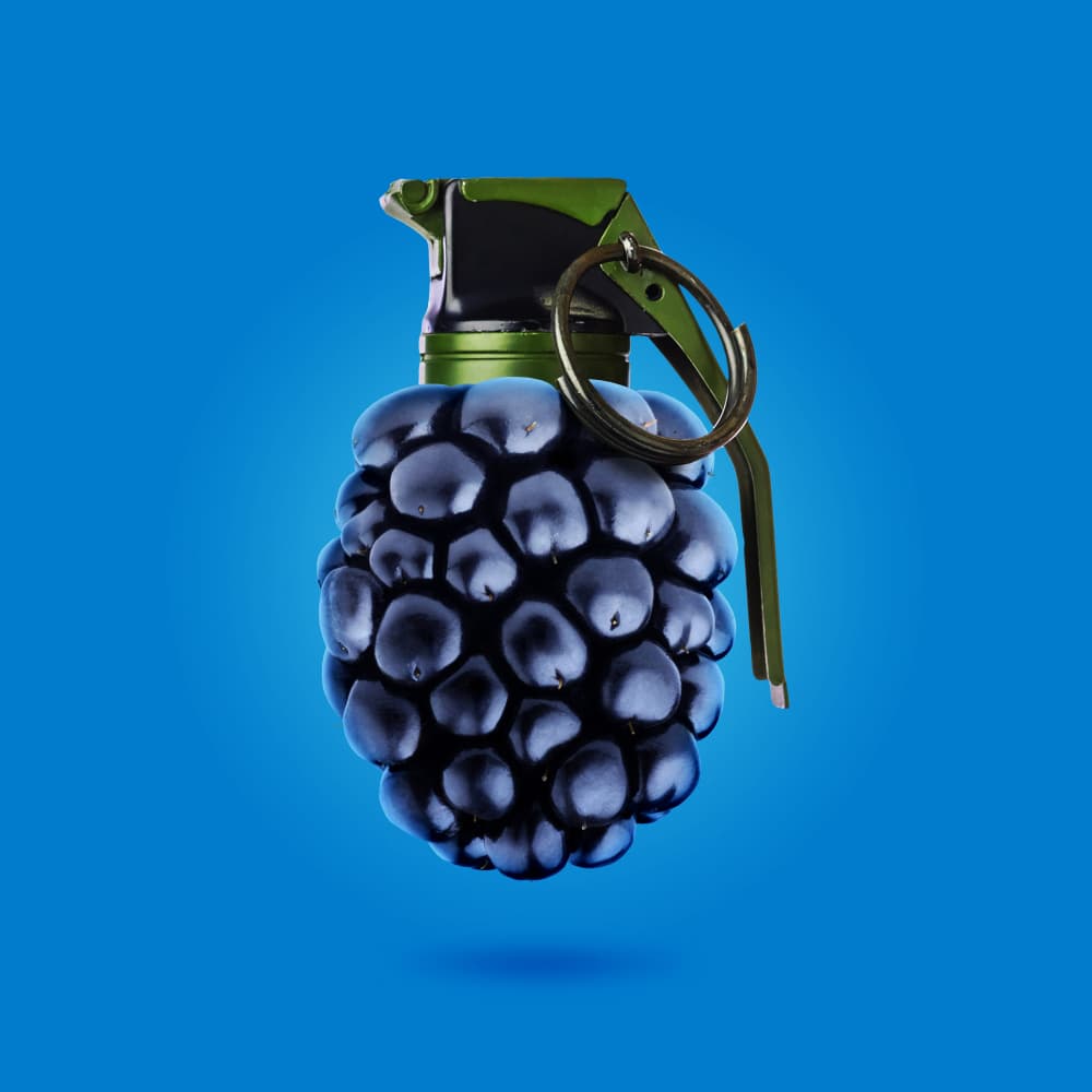 Blackberry Grenade by Artem Pozdniakov — canvas wall art