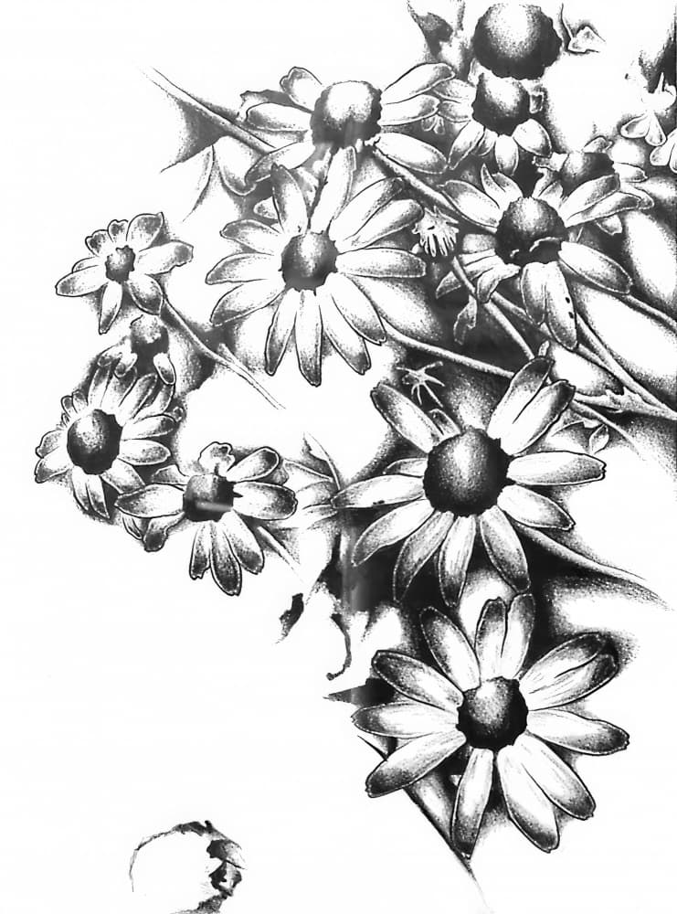 Shaded Floral Bloom by Kulik — canvas wall art