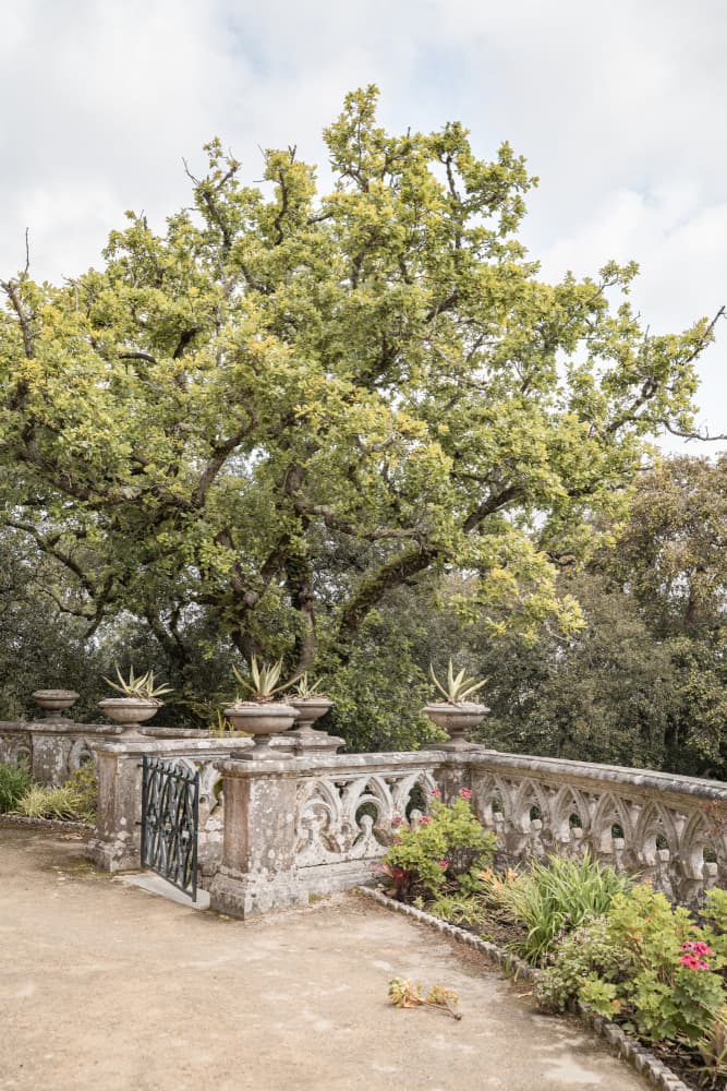 Ornate Stone Garden Walk by Henrike Schenk — canvas wall art