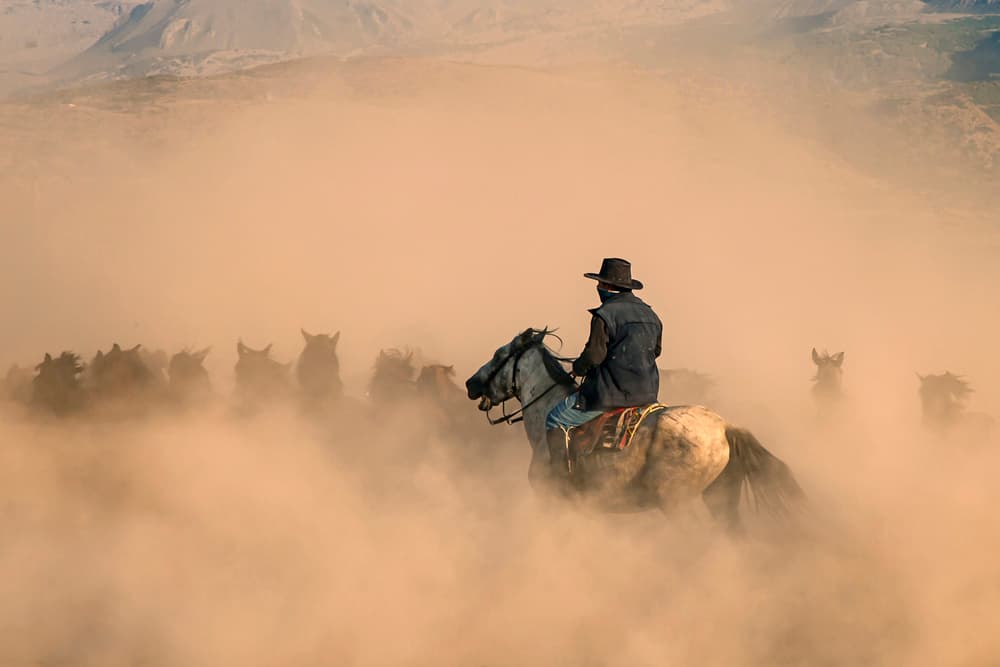 Cowboy Herding Wild Horses by Zühdü Bilgin — canvas wall art