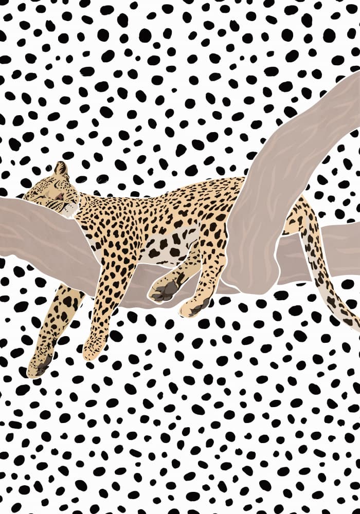Resting Leopard Spots by Sarah Manovski — canvas wall art