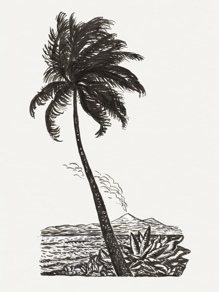 Palm Tree With an Island (ca. 1891–1941) by Leo Gestel — canvas wall art