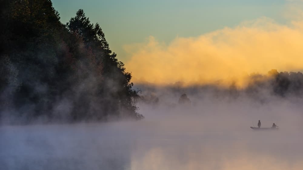 Golden Morning Mist by 李从军 / Austin Li — canvas wall art