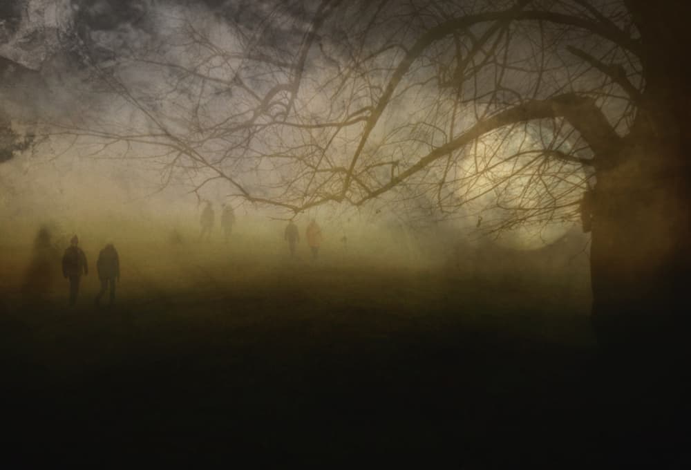 Mysterious Misty Path by Robert Fabrowski — canvas wall art