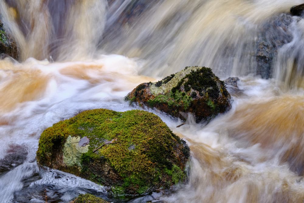 Flowing Mossy Stream by Geertjan Plooijer — canvas wall art