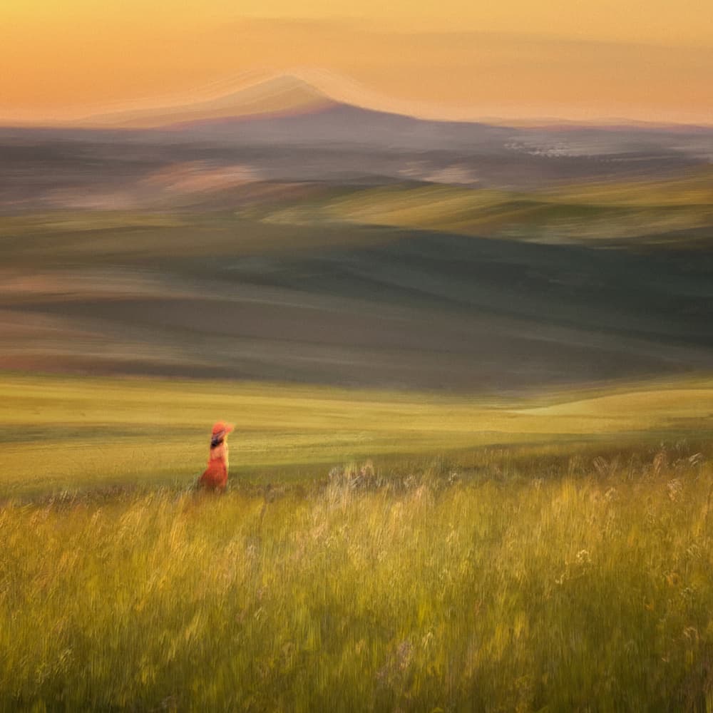 Golden Hour Fox by Mia Meng — canvas wall art