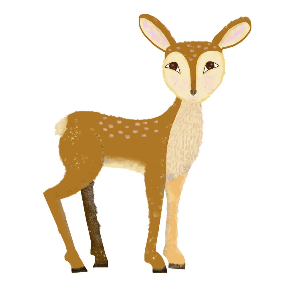 Innocent Woodland Deer by Lynnda Rakos — canvas wall art