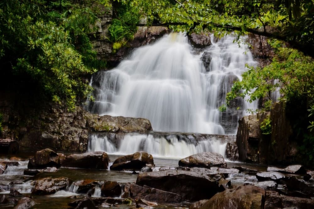 Misty Forest Waterfall by Del Mundo Imagery — canvas wall art