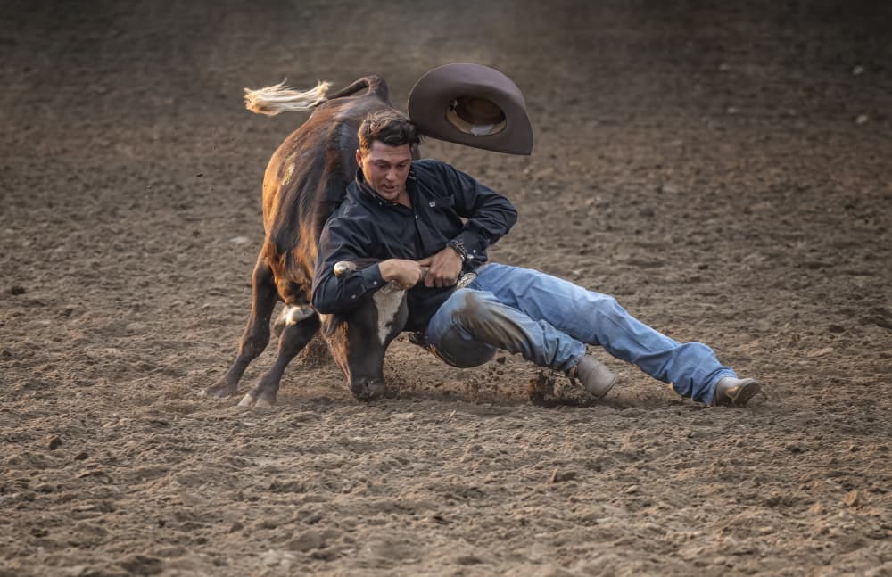 Rodeo Steer Wrestling Action by Jie Cheng — canvas wall art