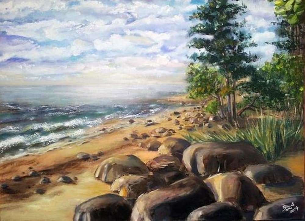 Rocky Beach Serenity by Anda Bieza — canvas wall art