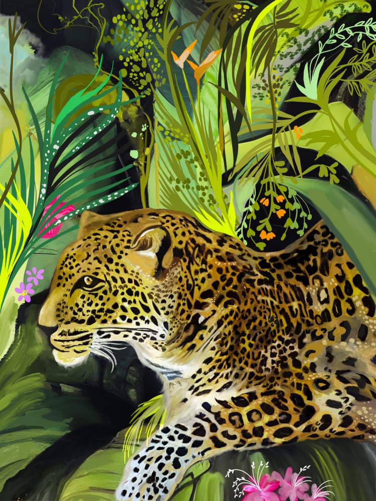 Wild Jungle Leopard