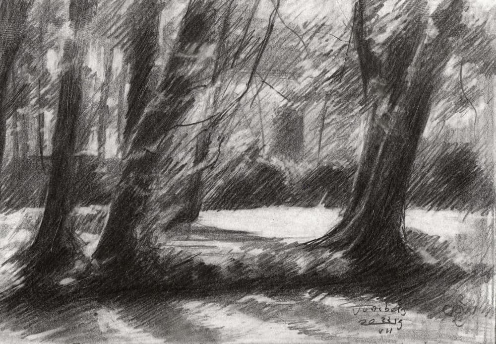 Tranquil Woodland Path by Corné Akkers — canvas wall art