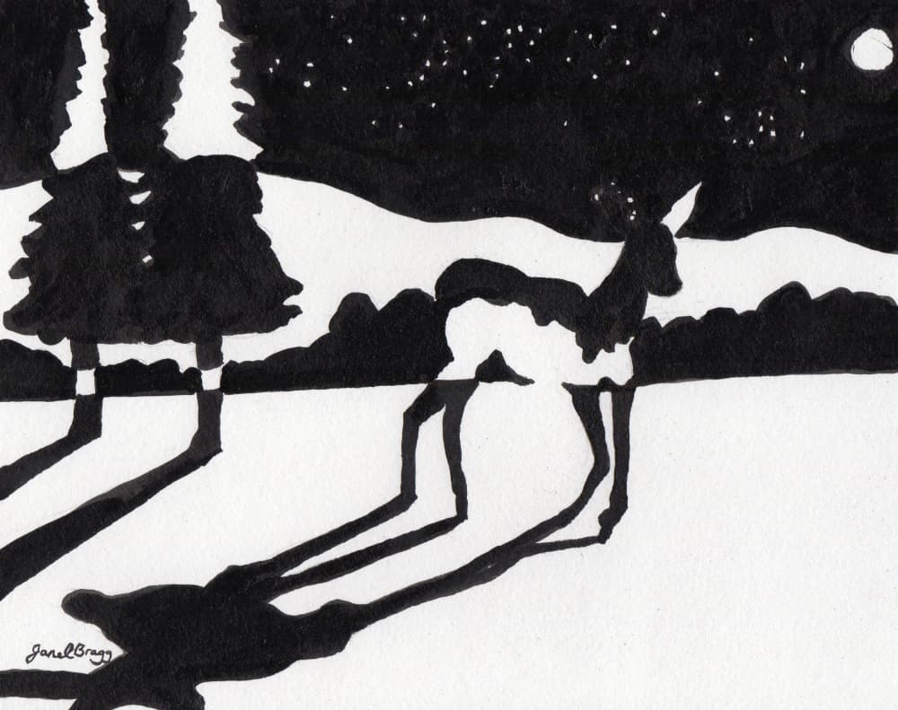 Winter Night Deer by Janel Bragg — canvas wall art