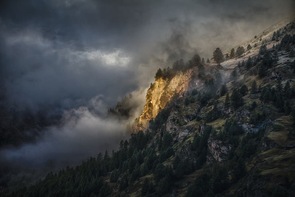 Golden Light Mountain Mist by Peter Svoboda MQEP — canvas wall art