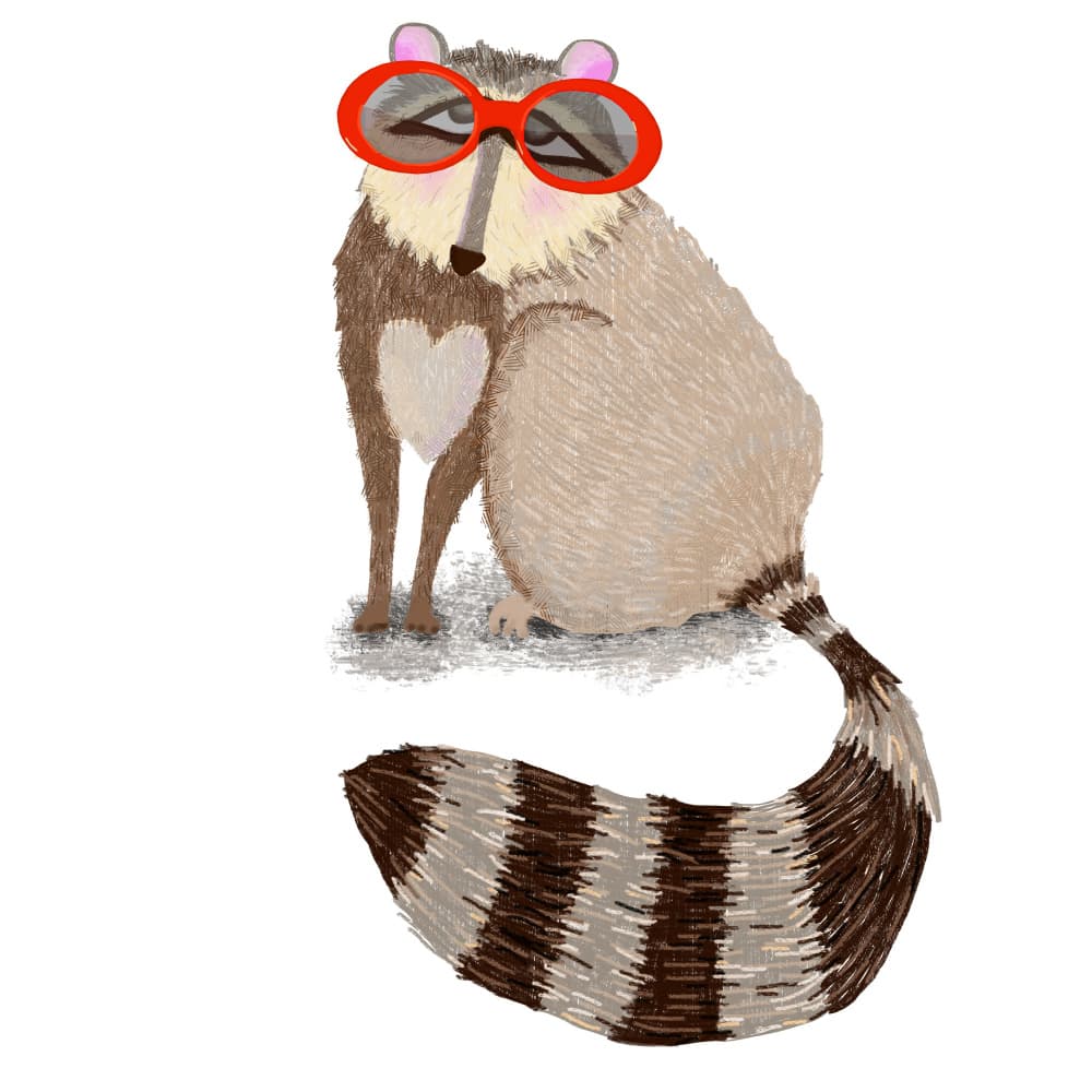 Raccoon Red Sunglasses by Lynnda Rakos — canvas wall art