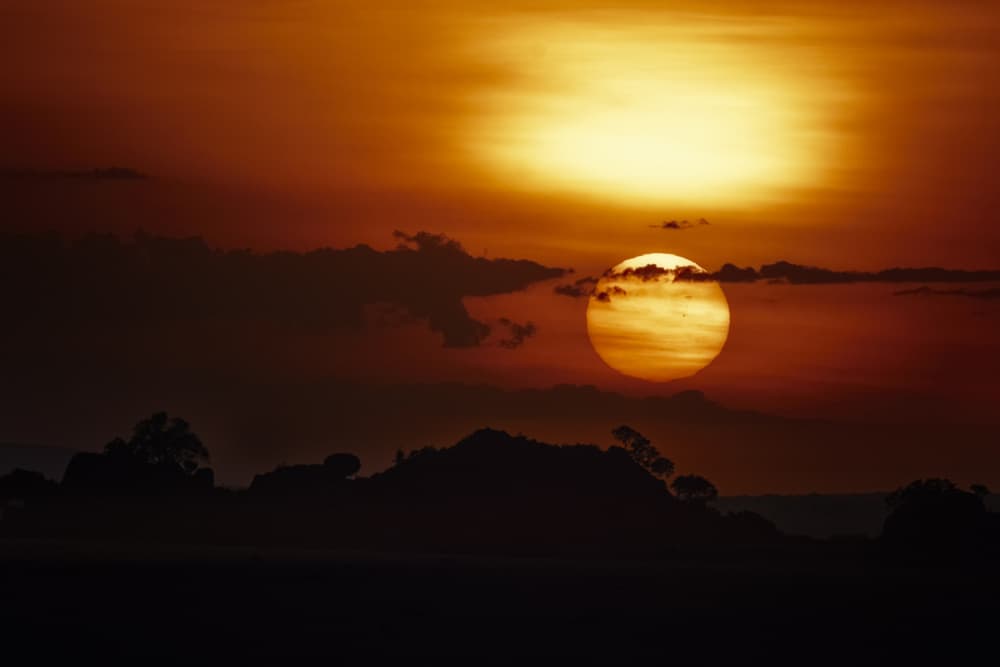 Golden Sunset Horizon by C. Ray Roth — canvas wall art