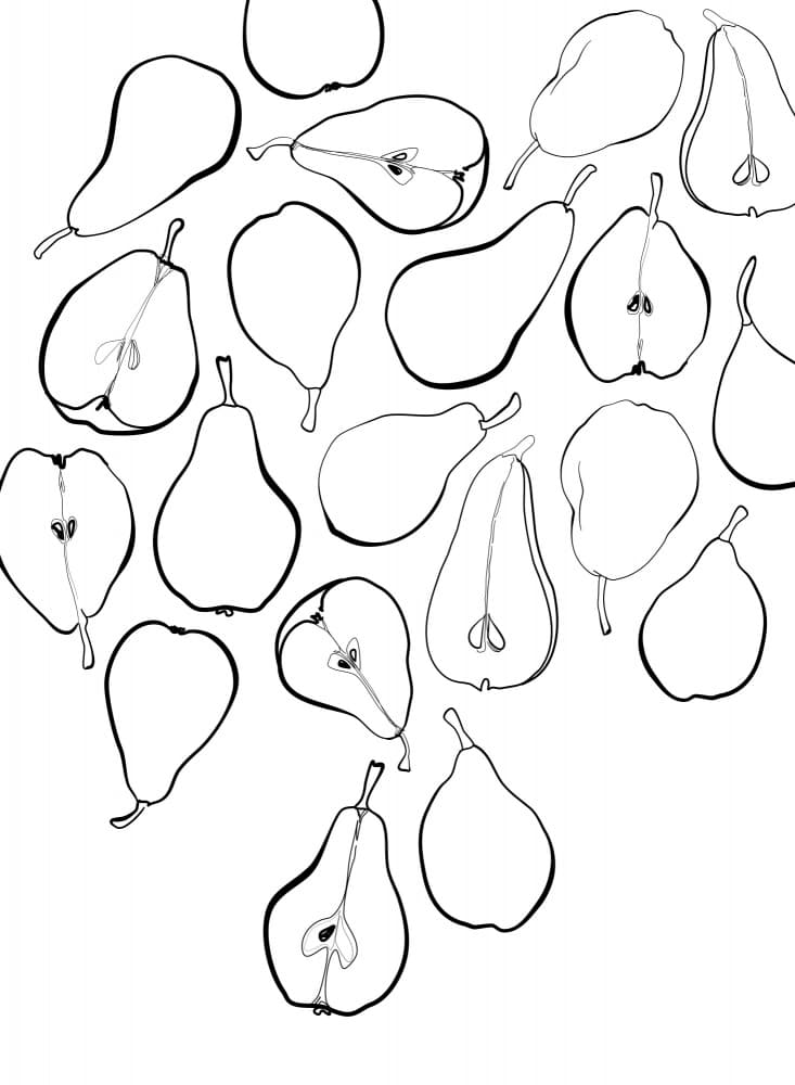 Black White Pears by Rosana Laiz Blursbyai — canvas wall art