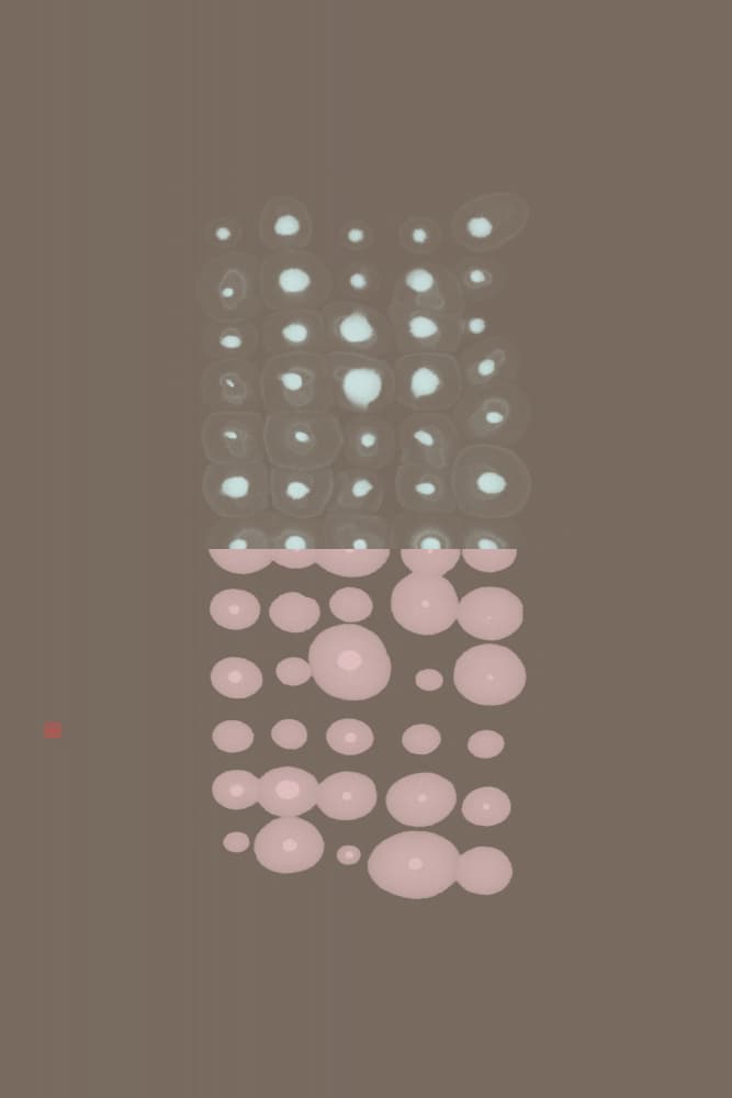 Glowing Pink Blue Circles by Thoth Adan — canvas wall art