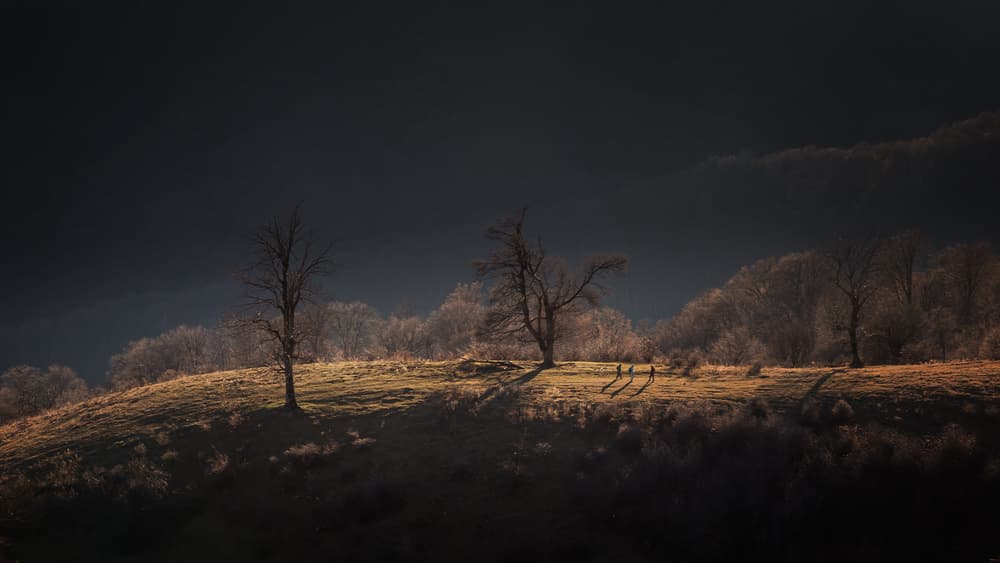 Golden Hill Silhouettes by Marius Cinteza — canvas wall art