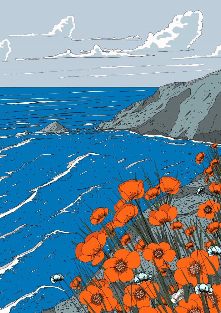Vibrant Coastal Poppies by Nicholas — canvas wall art