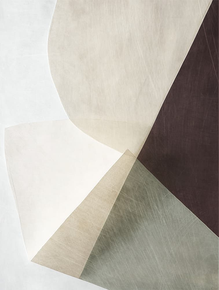 Muted Organic Forms by Alma — canvas wall art