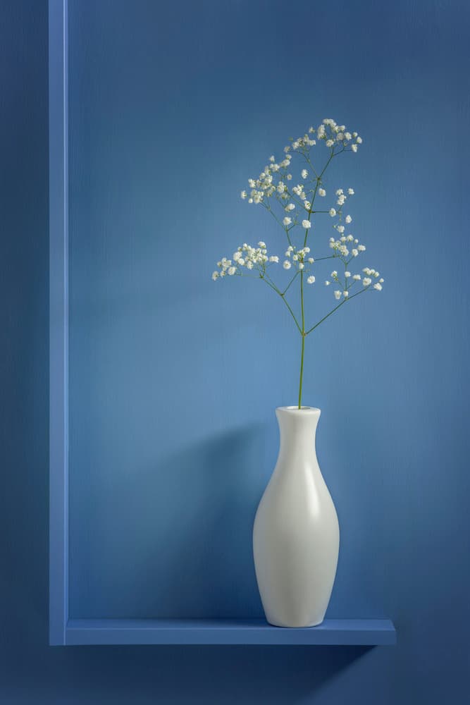 White Flowers Blue Shelf by Stephen Clough — canvas wall art