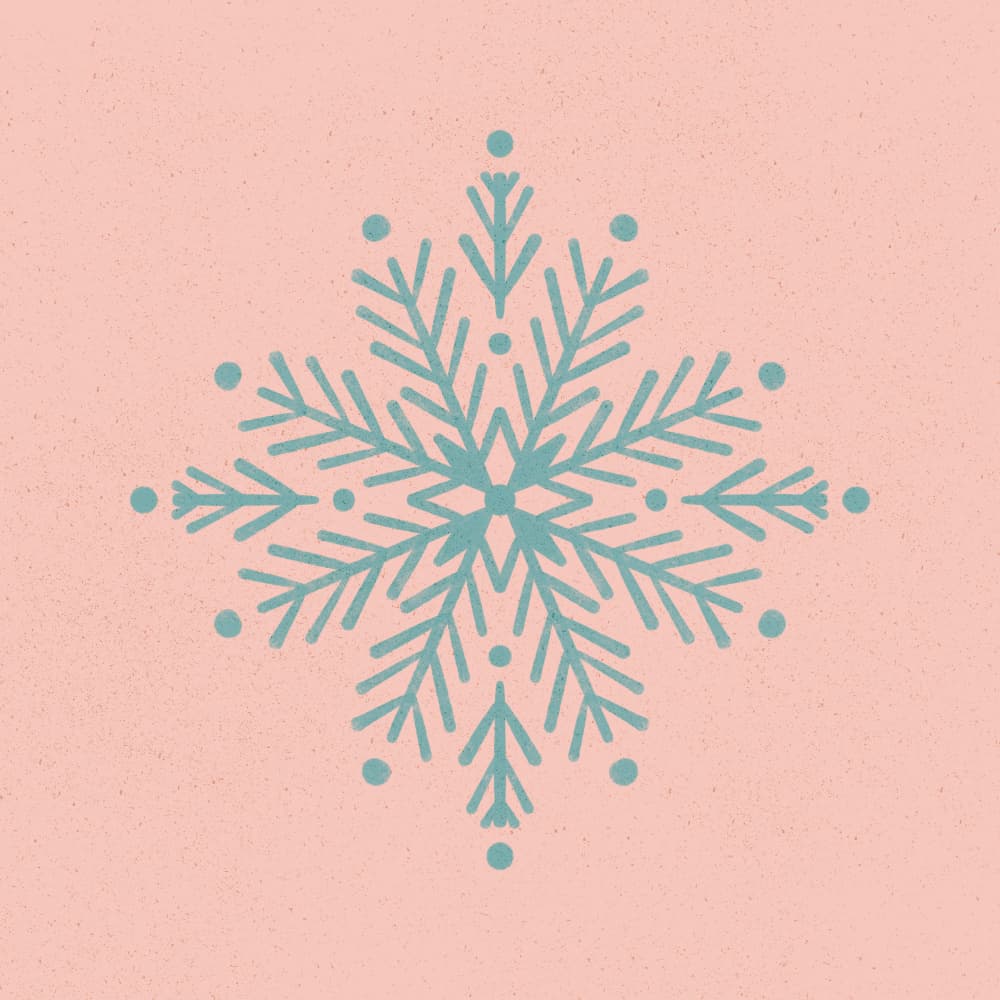 Delicate Winter Snowflake by Angela Minca — canvas wall art
