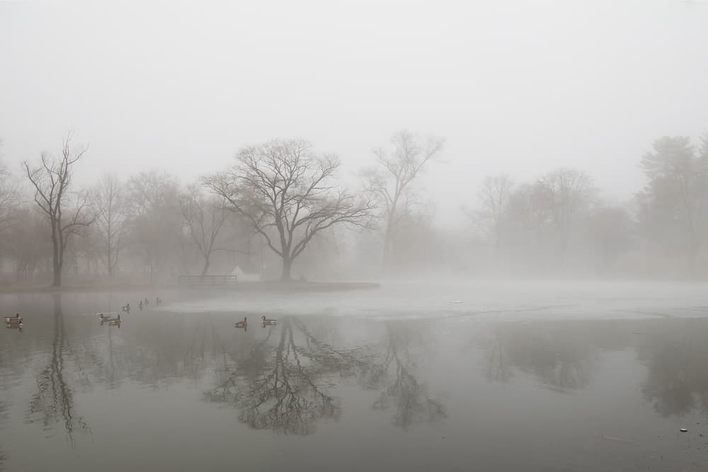 Misty Lake Morning by Haejung Lee — canvas wall art