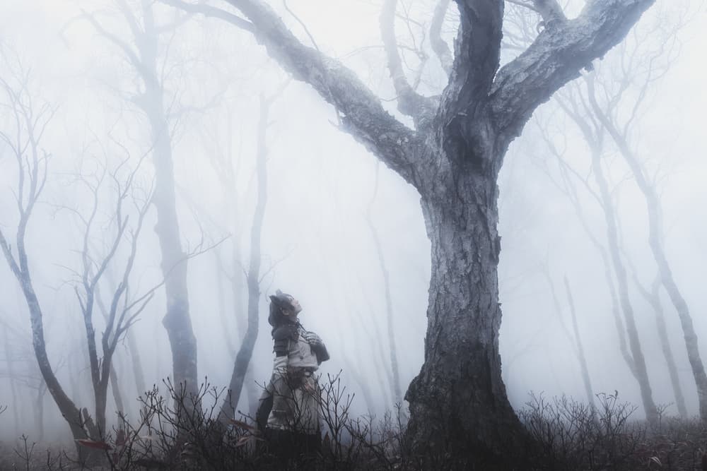 Mysterious Forest Figure by Suzuhiko Suzuki — canvas wall art