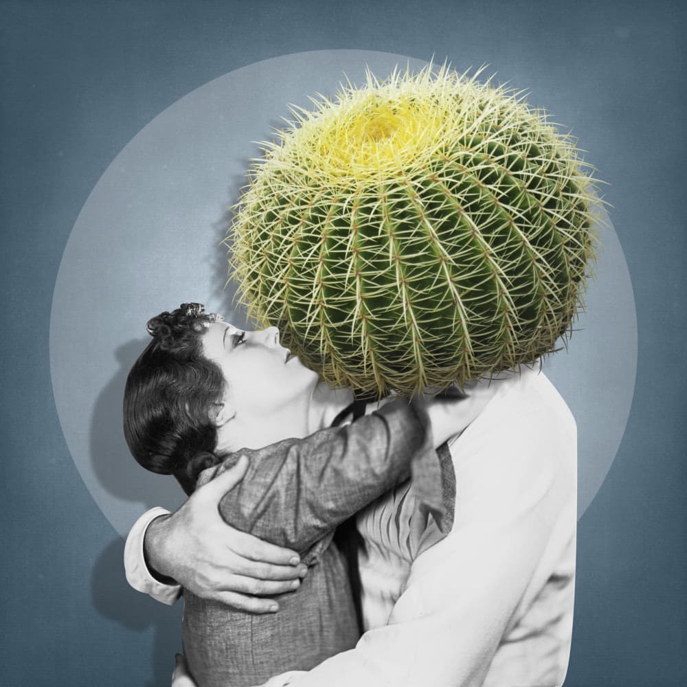 Surreal Cactus Kiss by Marja van den Hurk — canvas wall art