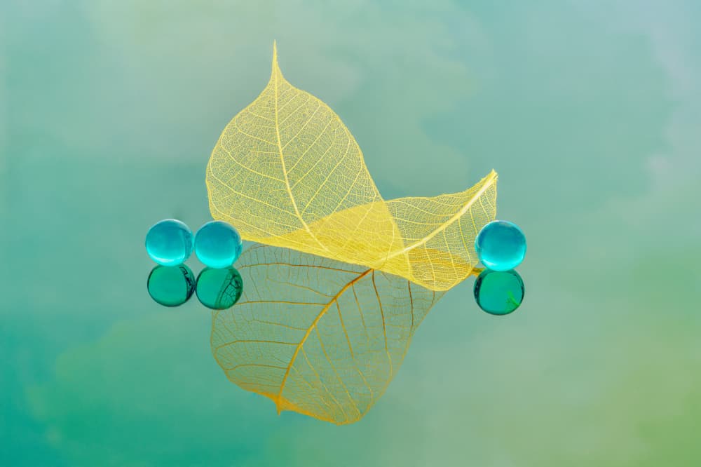 Golden Leaves Aqua Spheres by Catherine Lu — canvas wall art