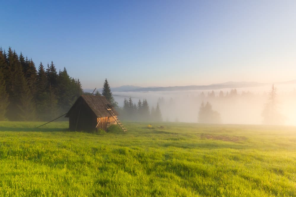 Misty Meadow Morning Hut by ADRIAN TUDOSE — canvas wall art