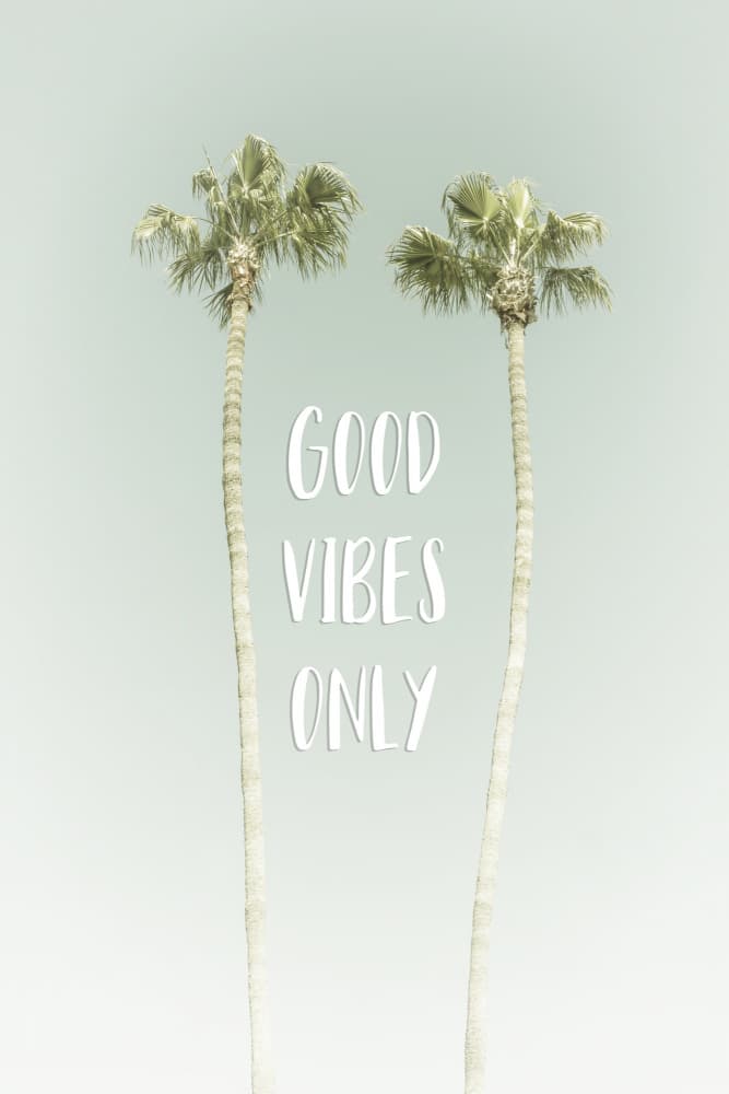 Palm Trees Good Vibes by Melanie Viola — canvas wall art