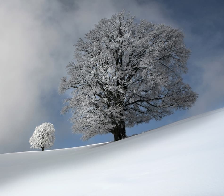Serene Winter Landscape by Nicolas Schumacher — canvas wall art