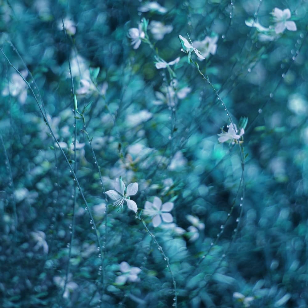Dreamy Blue Garden Flowers by Delphine Devos — canvas wall art