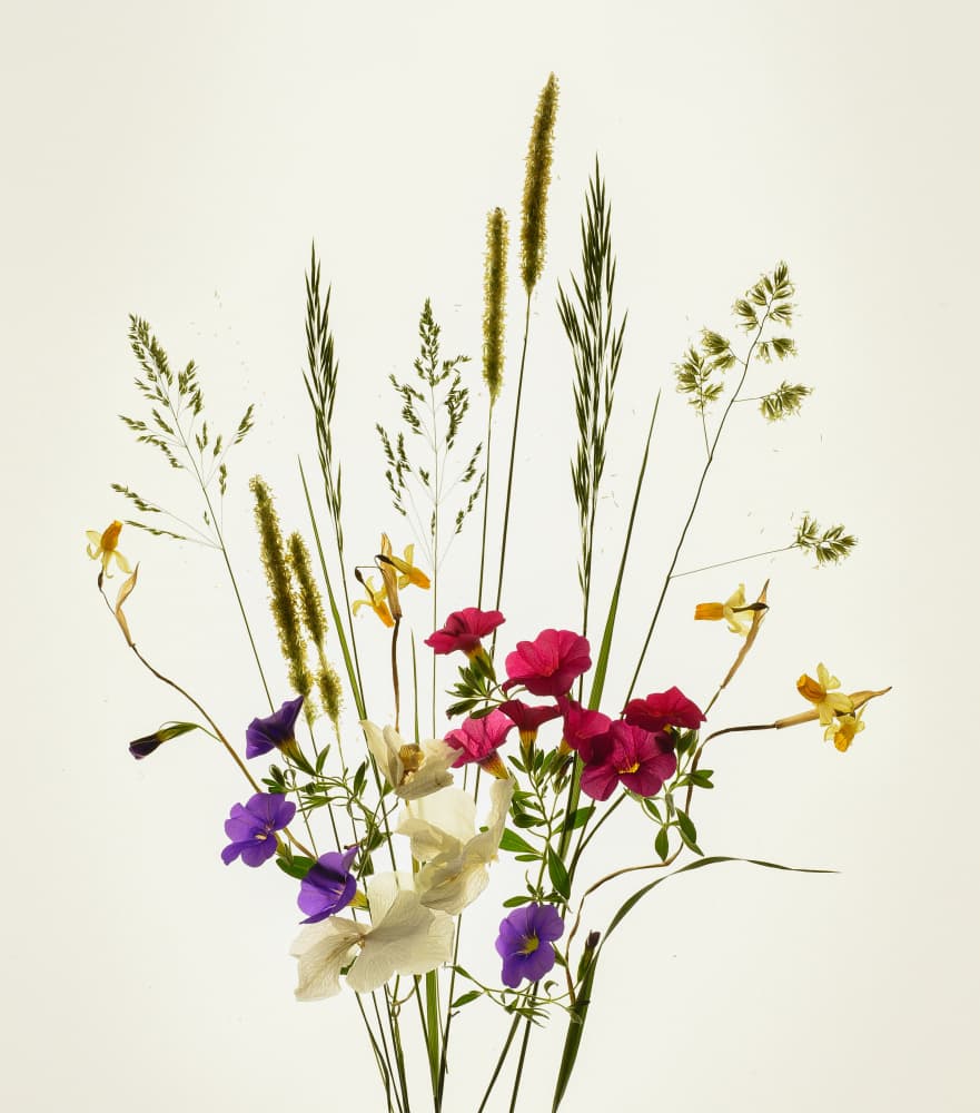 Vibrant Meadow Bouquet by Yuanwei Zuo APA — canvas wall art