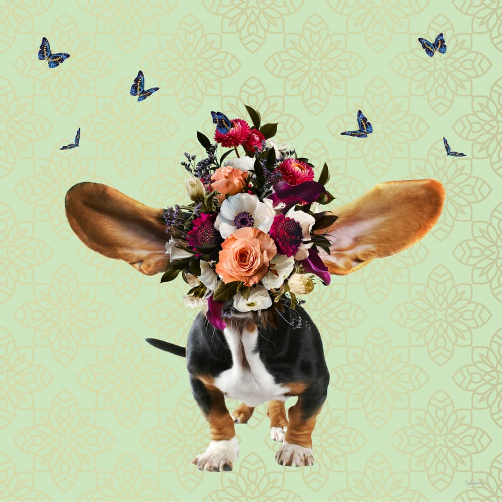 Charming Basset Flower Crown by Sue Skellern — canvas wall art