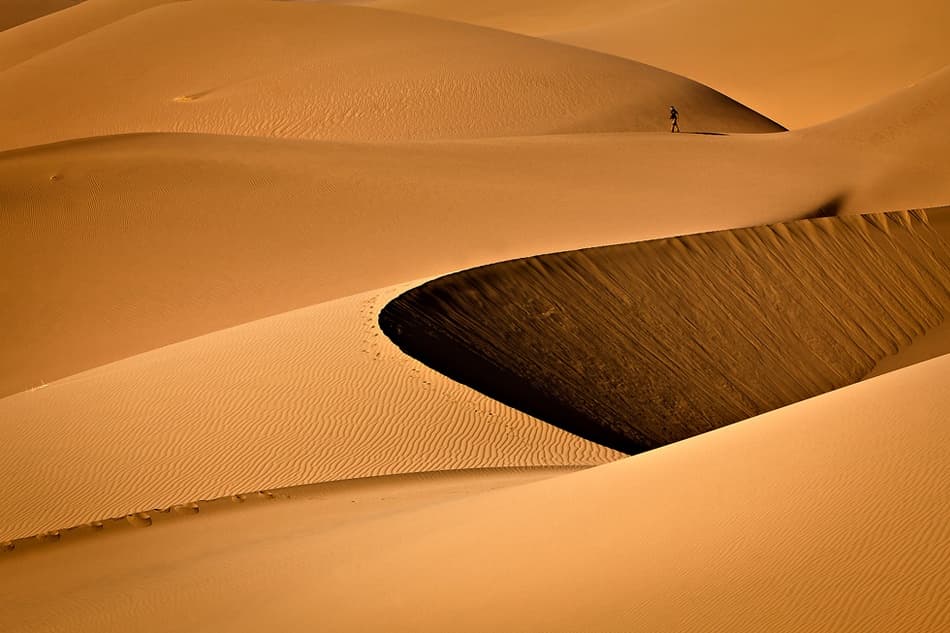 Golden Dunes Walker by Mohammadreza Momeni — canvas wall art
