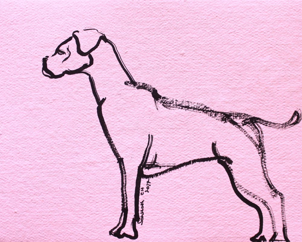 Pink Boxer Line Art by Santhosh ch — canvas wall art