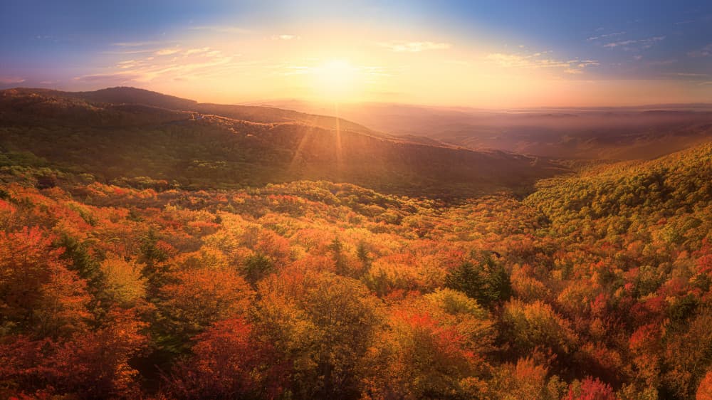 Golden Autumn Sunset by Jianping Yang — canvas wall art