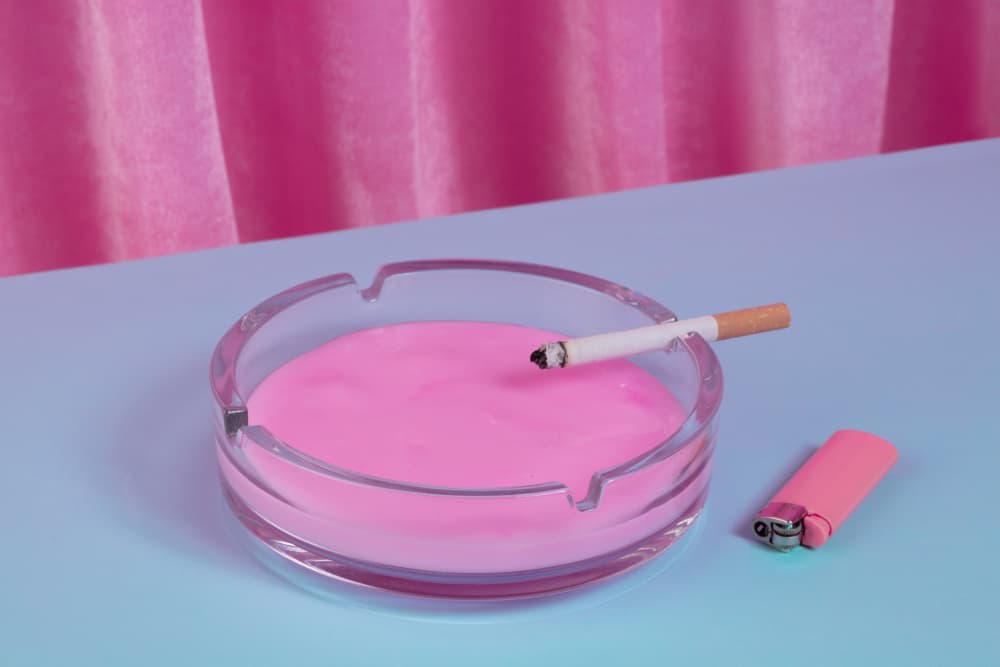 Pink Ashtray Still Life by Julia Ramiro — canvas wall art