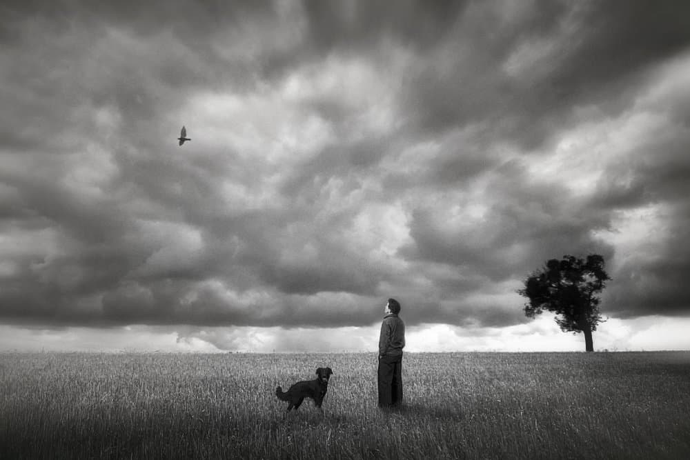 Figure Dog Looking Up by Holger Droste — canvas wall art