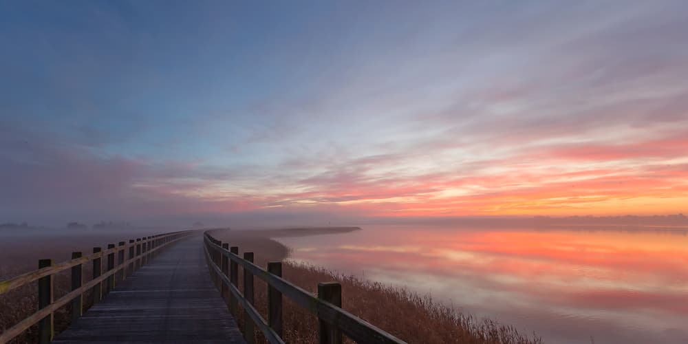 Misty Sunrise Boardwalk Path by Leif Løndal — canvas wall art