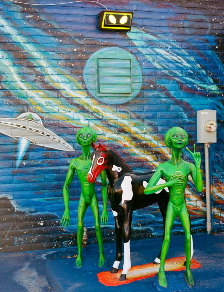 Quirky Alien Horse Mural by Bethany Young — canvas wall art