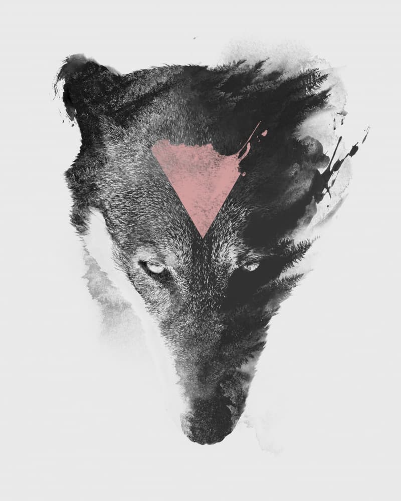 Fierce Wolf Triangle by Robert Farkas — canvas wall art