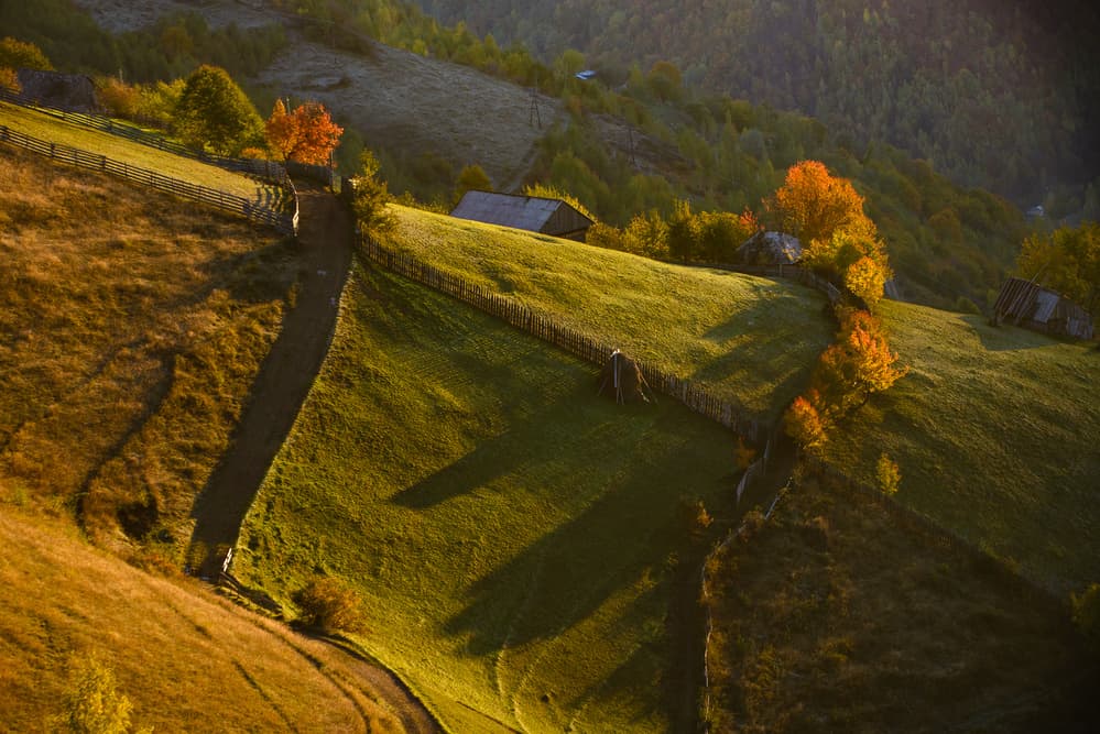 Autumn Hillside Morning Light by Ovidiu Satmari — canvas wall art