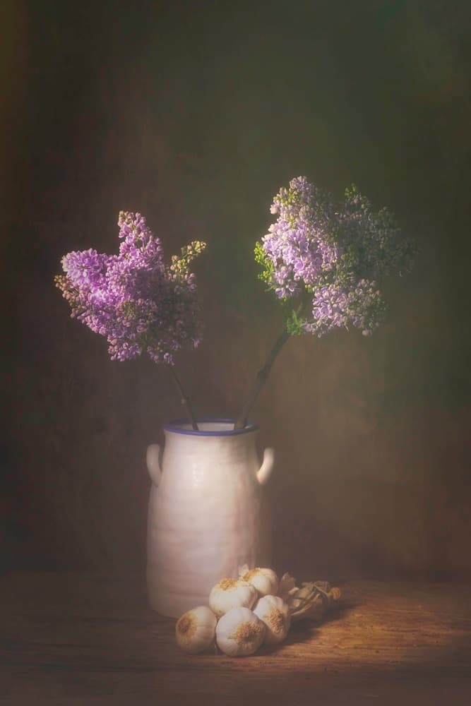 Lilacs and Garlic Still Life by Saskia Dingemans — canvas wall art